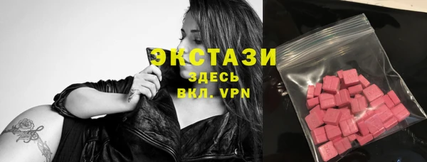 гидра Верхний Тагил