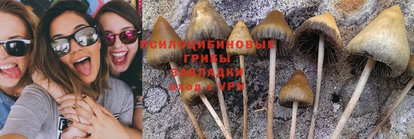 гидропоника Верхнеуральск