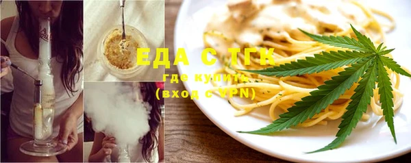 гидра Верхний Тагил
