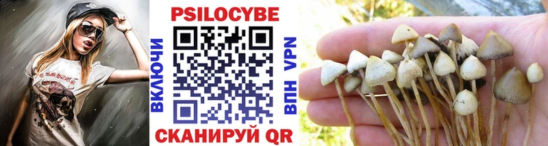 Псилоцибиновые грибы GOLDEN TEACHER Семёнов